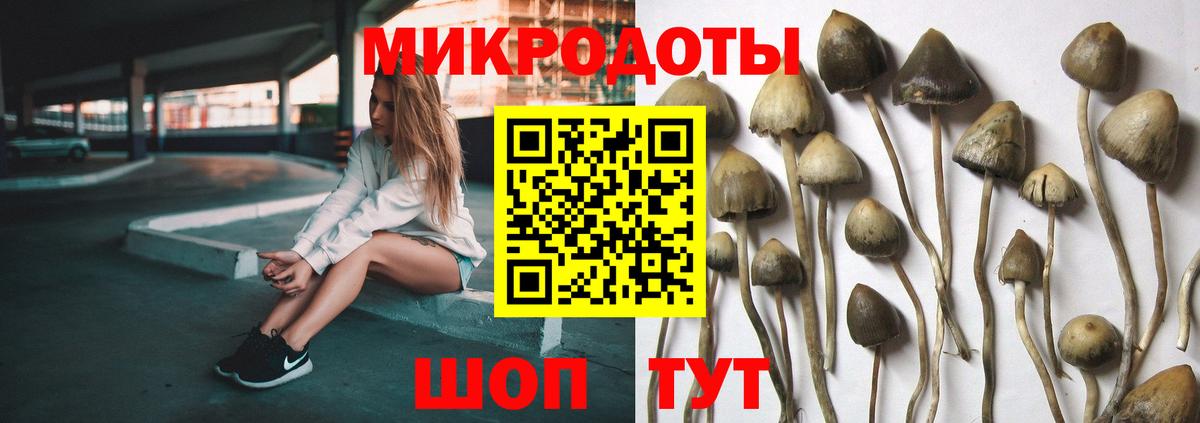 Туймазы  Псилоцибиновые грибы Magic Shrooms  Вход с VPN 